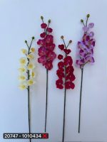 ارکیده مینیاتوری ۱۰ گل لمسی خارجی (پک ۶تایی)