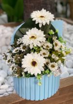 باکس پالیز کوچک
