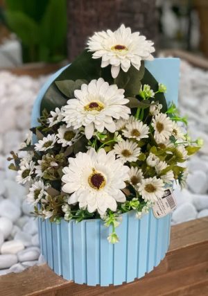 باکس پالیز کوچک