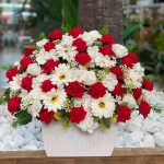 باکس فومیزه قایقی