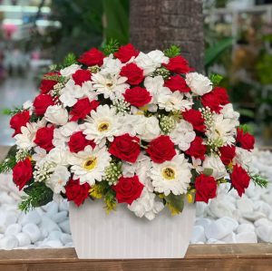 باکس فومیزه قایقی