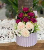 باکس پالیز