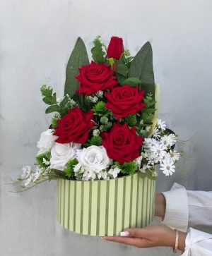 باکس پالیز بزرگ