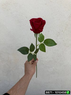 شاخه رز هلندی لمسی vip