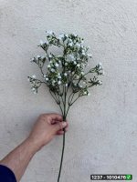 شاخه ژیپسو 5بازو