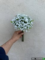 دسته ژیپسو 7شاخه