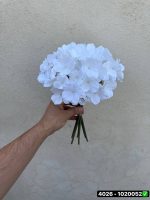 دسته هورتانسیا 7 شاخه