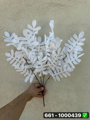 بوته برگ کنتیا 4شاخه