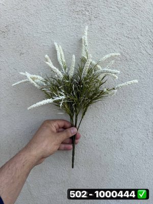بوته لوندر 7 شاخه سفید