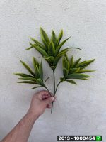 بوته دراسنا لمسی