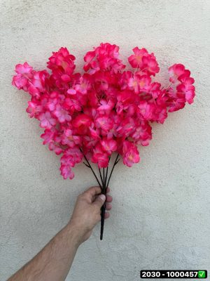 بوته شکوفه 5بازو