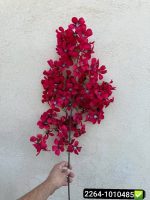 شاخه شکوفه ۲ رنگ