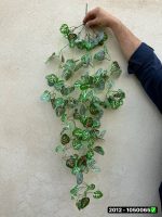 آویز برگ لمسی وارداتی