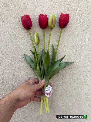 دسته ی لاله ژله ای 3 گل 2 بامیه