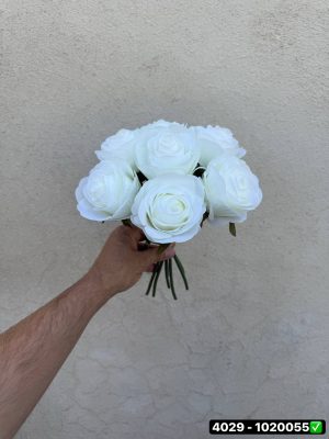 دسته رز هلندی 7 شاخه
