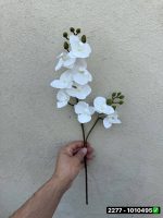 ارکیده مینی لمسی خارجی