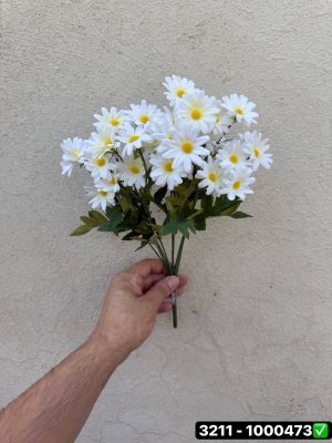 بوته بابونه 27 گل