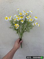بوته بابونه بلند 48 گل
