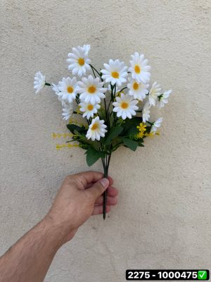 بوته بابونه 20 گل