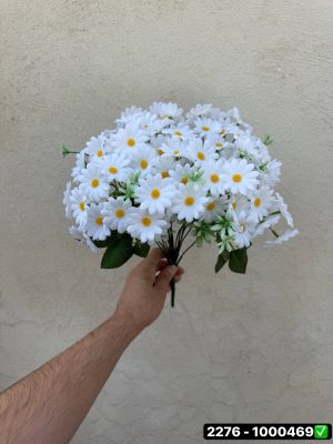بوته بابونه 18 بازو بزرگ