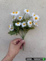 بوته بابونه 3206