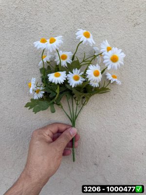 بوته بابونه 3206