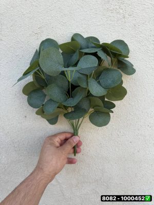 بوته اکالیپتوس 9 بازو