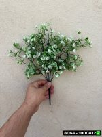 بوته اسفندی 7 بازو