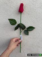 شاخه رز غنچه لمسی قرمز خارجی