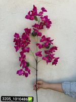 شکوفه‌ کاغذی
