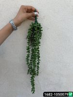 آویز غوره خارجی