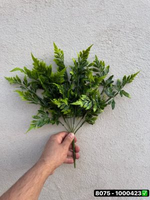 آرالیا ژاپنی 9 بازو