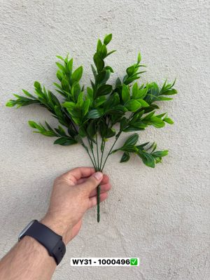 بوته برگ ریحونی