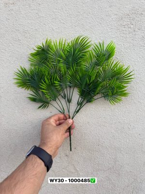 بوته برگ پالم