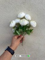 بوته آنامان 6 گل
