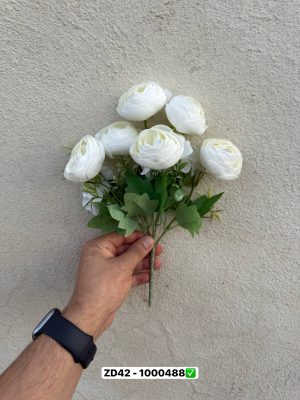 بوته آنامان 6 گل