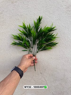 بوته برگ پرتغال