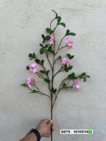 شکوفه یاس وارداتی 8875