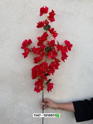 شکوفه کاغذی بلند تک رنگ قرمز
