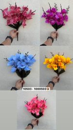 بوته آلستر وارداتی( پک12 تایی )