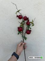 شاخه انار 5 میوه لمسی وارداتی