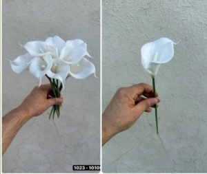 شاخه شیپوری چرمی(شاخه ای)