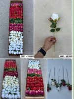 شاخه رز باکارا 2 برگ وارداتی(باکس 120 تایی)