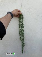 آویز غوره خارجی 3 بازو